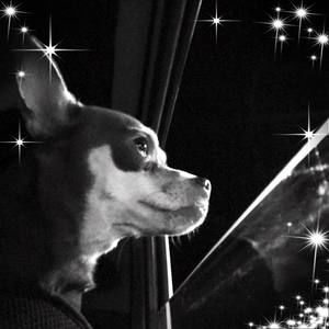 Meet your Posher, Chance